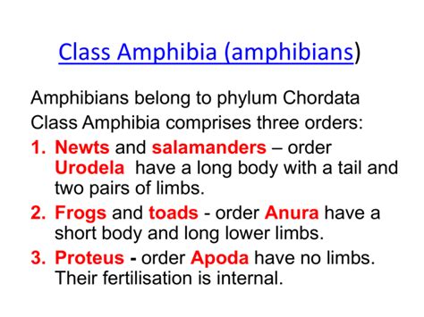 Apoda Legless Amphibians