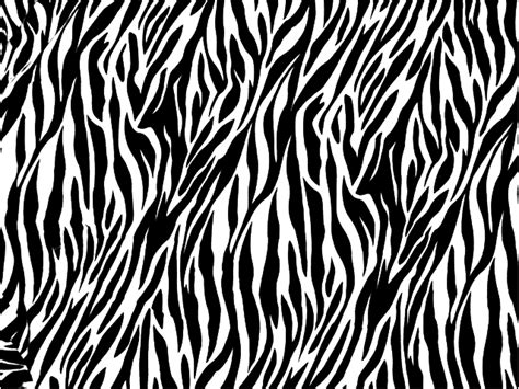zebra print png background image png arts