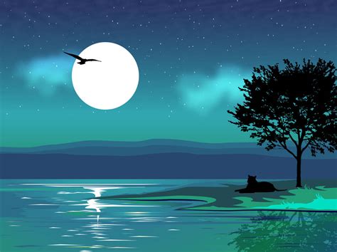 Night Vector Landscape Vector Art And Graphics