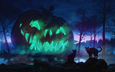 Download Jack O Lantern Cat Night Holiday Halloween Hd Wallpaper