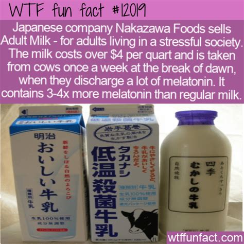 Adult Japanese Milk Telegraph