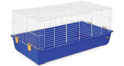 Cage Size Guide And Charts For Guinea Pigs Steelcages