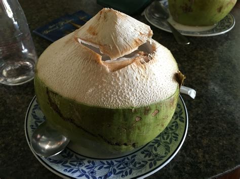 When You Need A Break From The Sightseeing Fresh Coconut Is The Way To