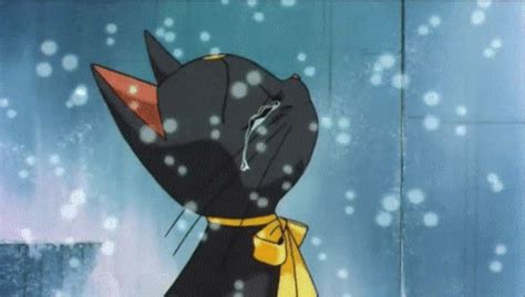 Sailor Moon Black Cat  Wiffle