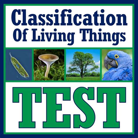 Classification Of Living Things Test Flying Colors Science