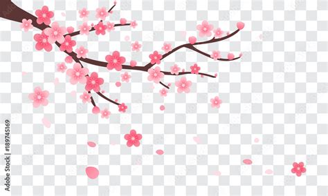 Sakura Branch With Falling Petals Vector Illustration Pink Cherry