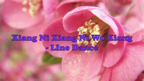 Xiang Ni Xiang Ni Wo Xiang Ni Line Dance Youtube