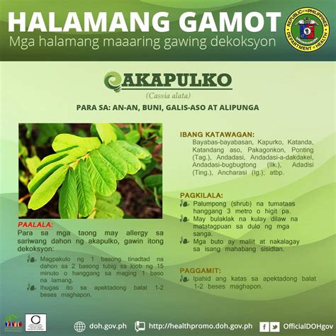 Official Gazette Ph On Twitter Infographic • Halamang Gamot Na
