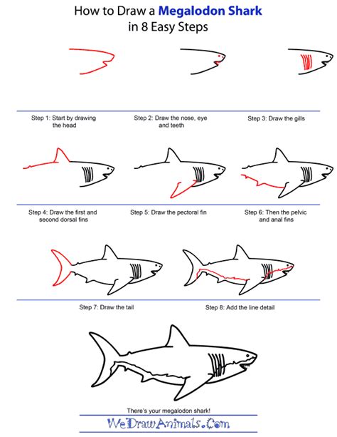 Shark drawing easy for kids. Megalodon Drawing at PaintingValley.com | Explore ...