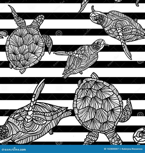 Seamless Monochrome Pattern With Turtles Stock Vector Illustration