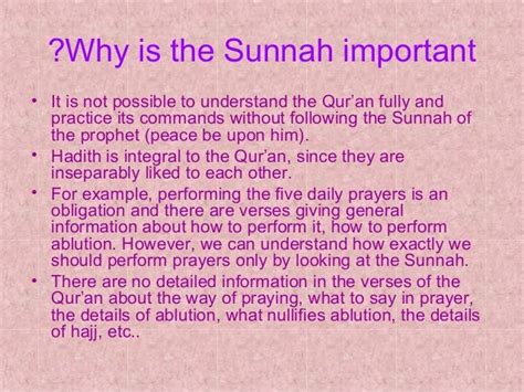 Importance Of The Sunnah
