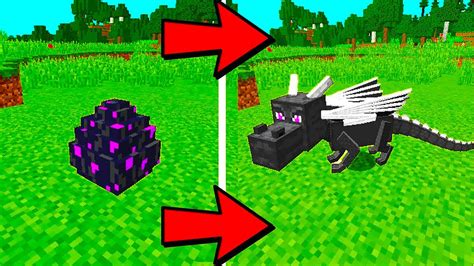 Gamers should go to the depths of the overworld in an effort to. How To Hatch A Ender Dragon Egg In Minecraft Education Edition