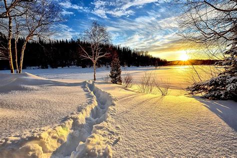 Winter Landscape Sunset Cold Snow Trees Nature White Pikist