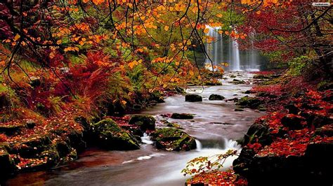 Fall Youwall Autumn Forest Waterfall Hd Wallpaper Pxfuel