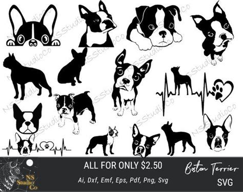 9 Dog Breed Head Face Top Selling Color Designs Bundle Clipart Svg