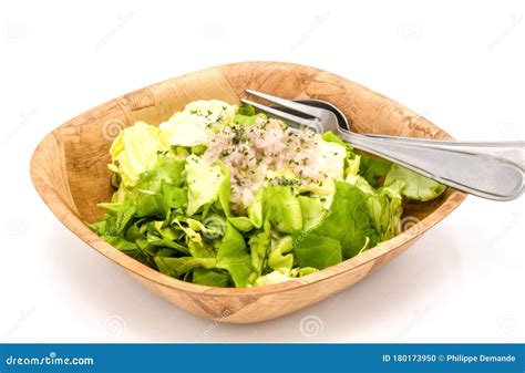 Fresh Green Lettuce Salad In A Bowl Stock Photo Image Of Meal