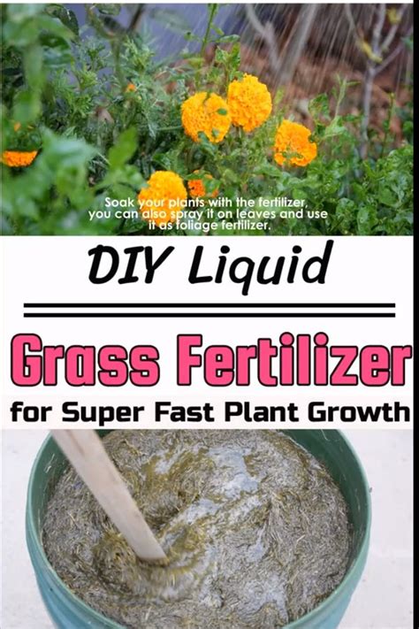 The most important aspect of this homemade fertilizer is the nitrogen content. Here's how to make this super effective DIY liquid fertilizer with grass clippings. Supplies ...