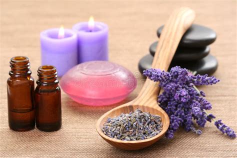 Lavender Aromatherapy Stock Photo Image Of Body Herbal 5492136