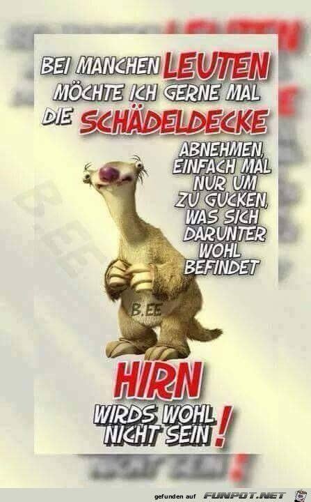 Falls bei dir eine bildart läuft, die du nicht öffnen kannst oder die in der software falsch aussieht, kannst du versuchen. Schaedeldecke oeffnen | Lustige sprüche, Sprüche