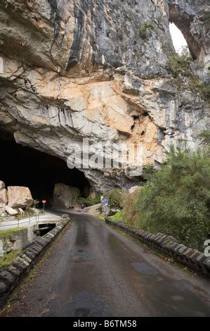Road Through Grand Arch Jenolan Caves Blue Mountains New South Wales Stock Photo Alamy