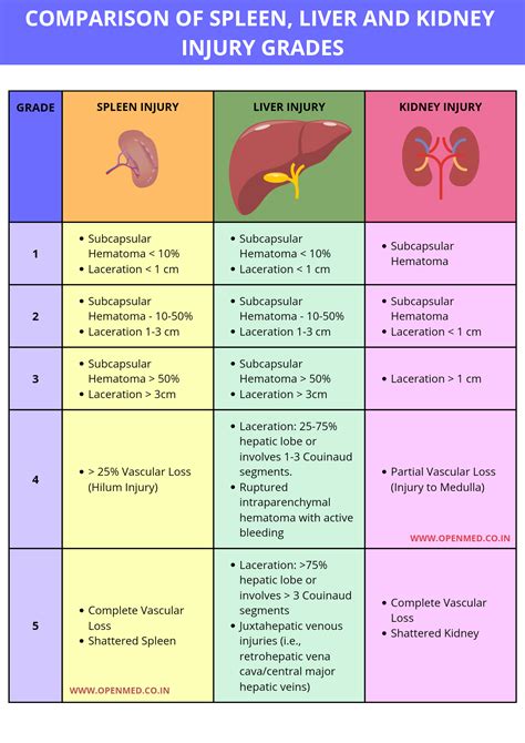 Comparison Of Spleen Liver And Kidney Injury Grades