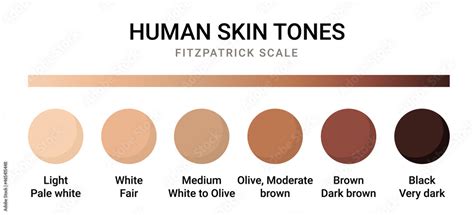 Human Skin Color Types
