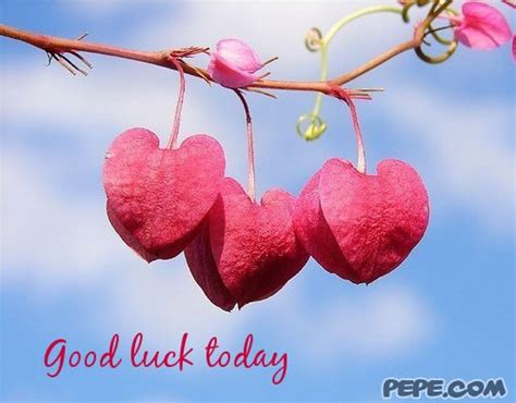 Good Luck Today Quotes Quotesgram
