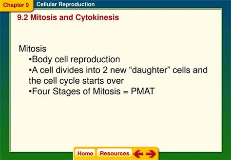 Ppt Chapter 9 Cellular Reproduction Powerpoint Presentation Free Download Id 808111