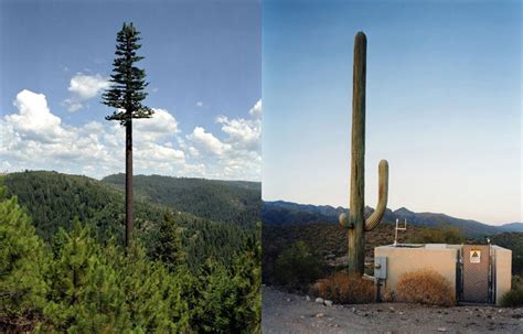 25 Cell Phone Towers Disguised To Look Like Something Else Twistedsifter