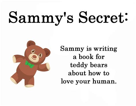 Sammys Secrets