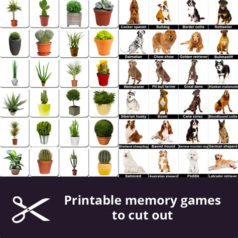 Free Printable Memory Games For Seniors Printable Templates