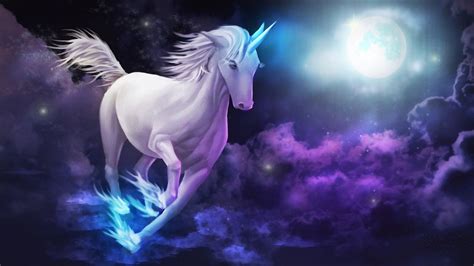What Are Different Types Of Unicorns You Should Know