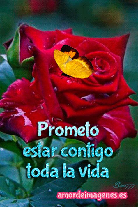 Confira as mais lindas frases de amor, apaixonadas e românticas para ler ou compartilhar com quem você ama. Gifs de amor con frases para compartir