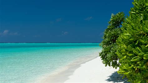 Download Wallpaper Turquoise Waters Of Maldives 2560x1440