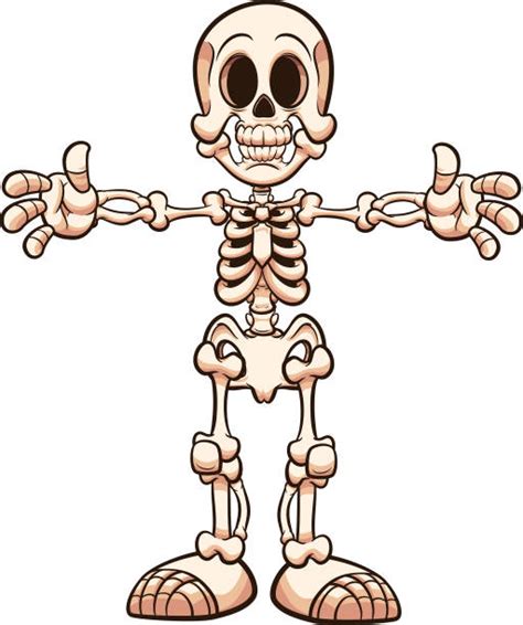 Human Skeleton Cartoon