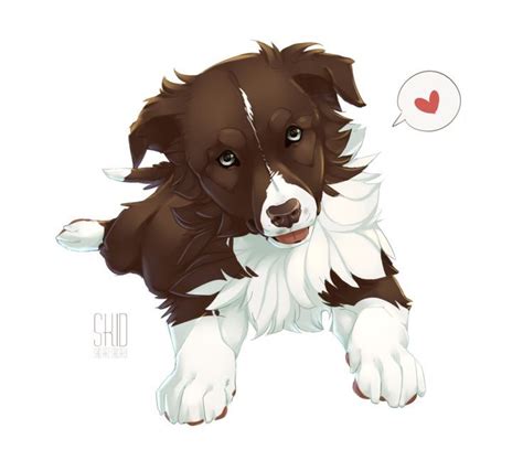 Latest Absolutely Free Border Collies Dibujo Popular In 2021 Cute