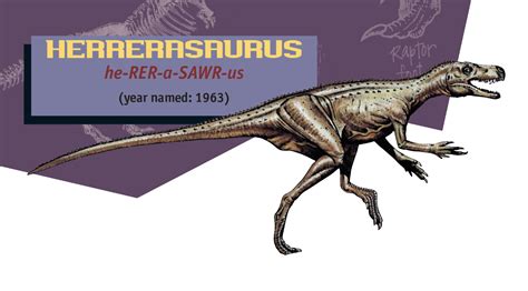 Jurassic Parkjurassic World Guide Herrerasaurus By Maastrichiangguy