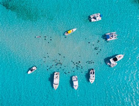 stingray city catamaran tours in grand cayman get bent charters