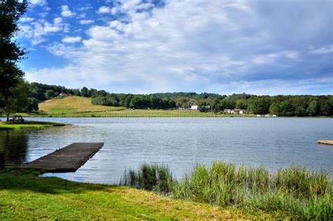 Beauty Sunny Day On The Lake Stock Image Image Of Pond Nature 110859119
