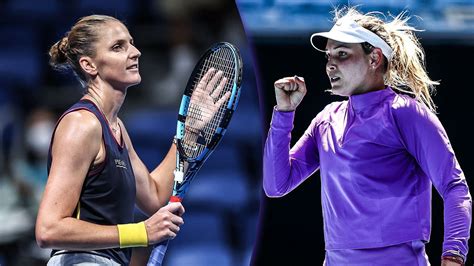 San Diego Open 2022 Karolina Pliskova Vs Donna Vekic Preview Head To Head Prediction Odds
