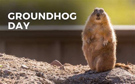 What Did The Groundhog Say 2024 Date Of Birth - Amara Bethena
