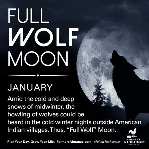 The full moon is a time of releasing and receiving. Pin by Judith Francis on Quotes | January full moon, Full moon names, Moon names