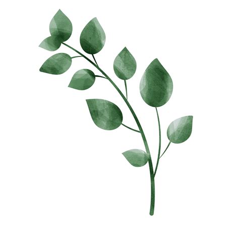 Green Leaf Watercolor 10883305 Png