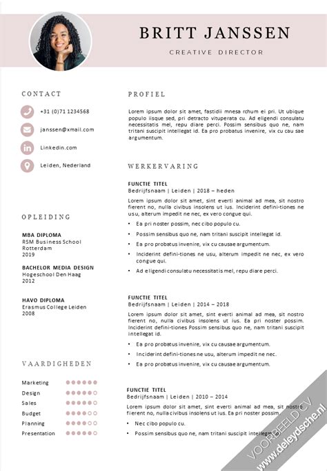 Voorbeeld Cv Template 16 De Leydsche Cv Design