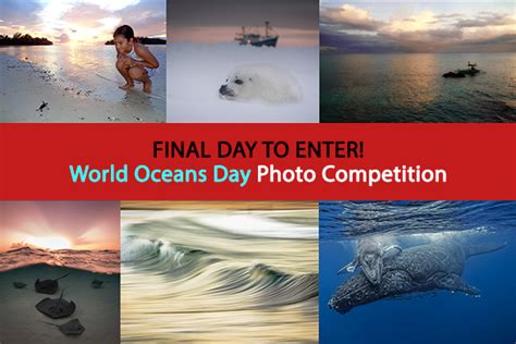 World Oceans Day Photo Competition Last Day