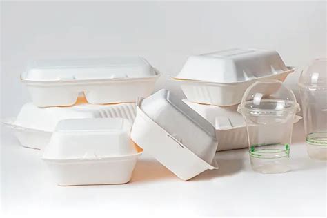 Empaques Biodegradables Para Alimentos Reliable Quality Ngress