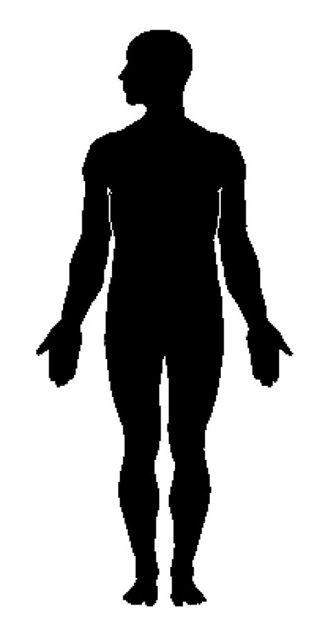 Human Body Silhouette Clip Art Silhouette Png Download 6241200