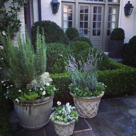 Courtyard Container Plantings For The Winter Season Lavender