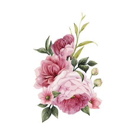 √ Rose Watercolor Png png image