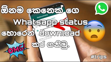 How To Download Whatsapp Status 🔥 Sinhala Youtube